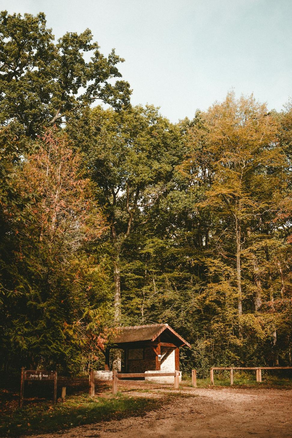 Cabin Porch