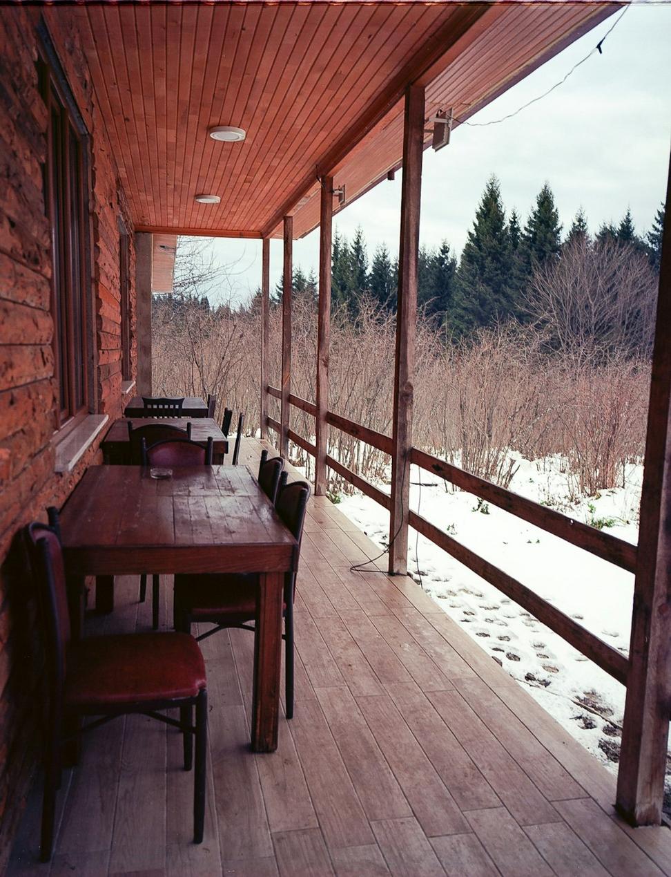 Forest Cabin