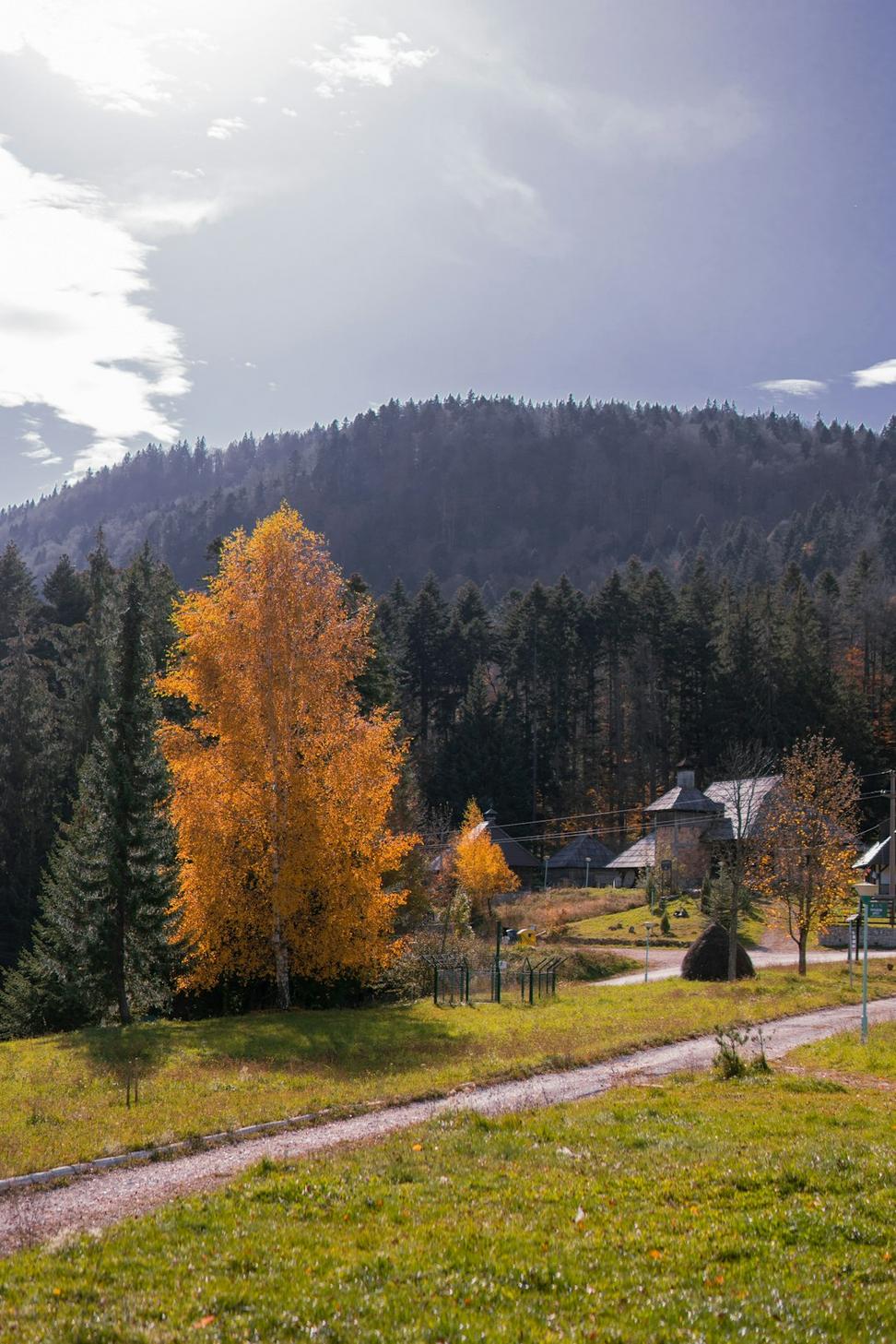 Fall Adventure